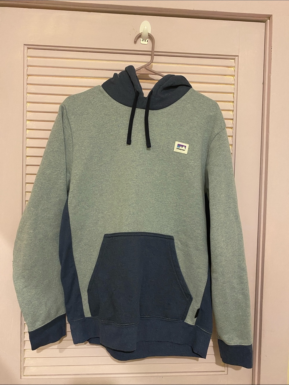 Patagonia Two-Tone Blue Hooded Sweatshirt